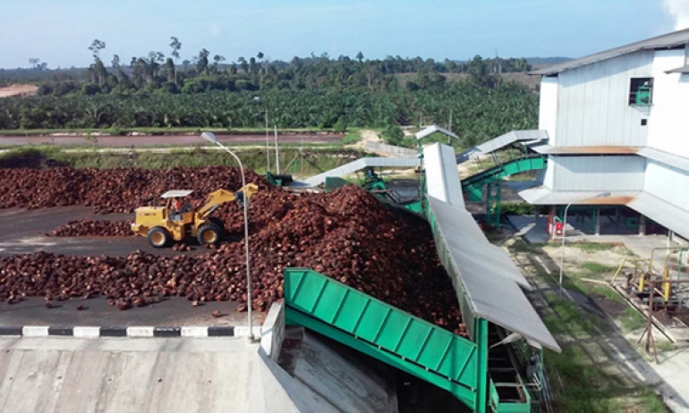 Hilirisasi Kelapa Sawit Mendesak Untuk Segera Dipacu